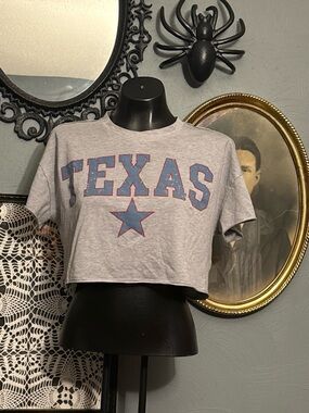 Social culture Gray Texas Graphic Cropped Tee